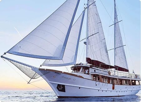 Verbringen Sie Ihren Urlaub auf einem Segelboot, Katamaran, Motorboot, Motoryacht, Gulet oder einer Superyacht.